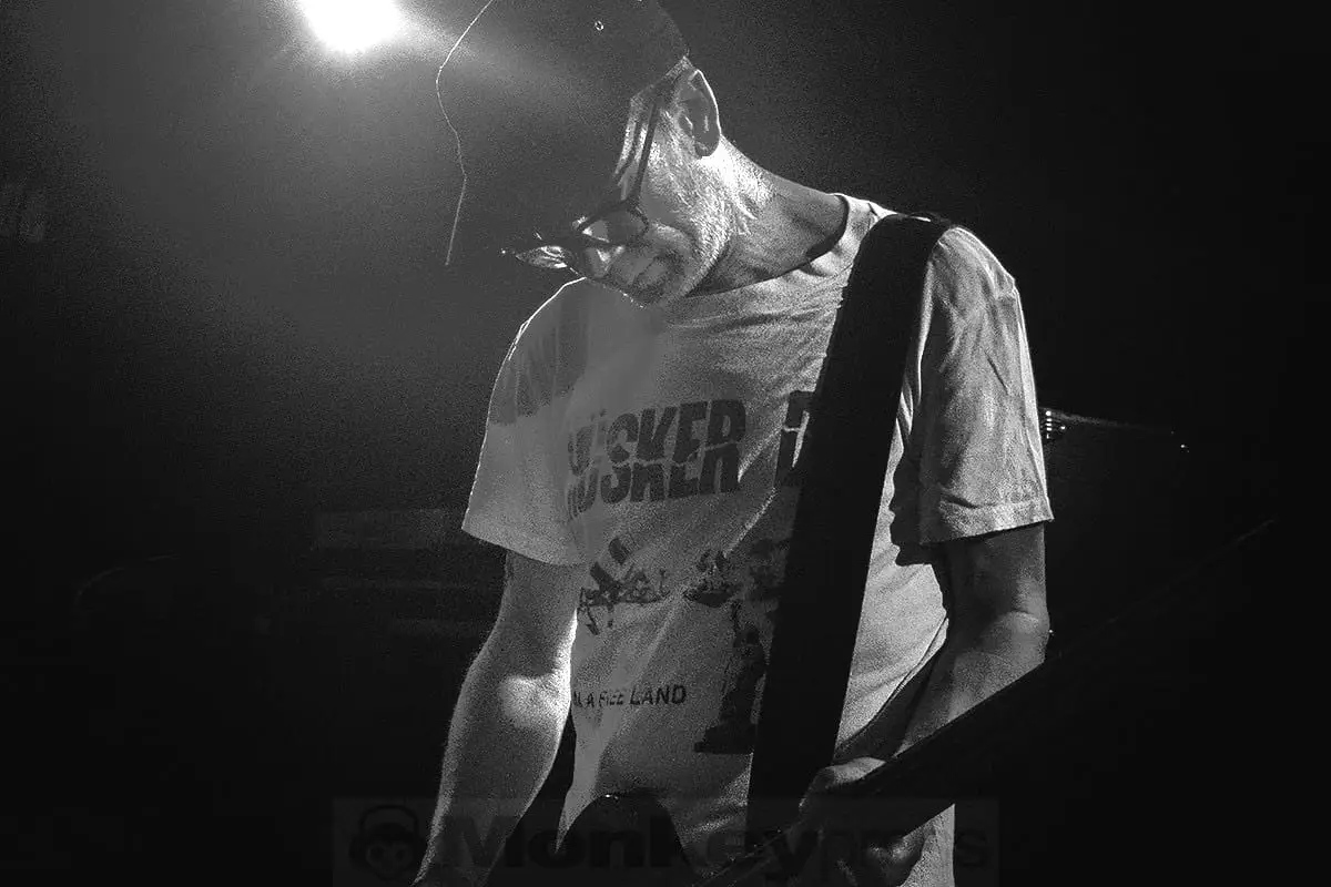 Thistles — guitarist in hard backlight, silhouetted by haze